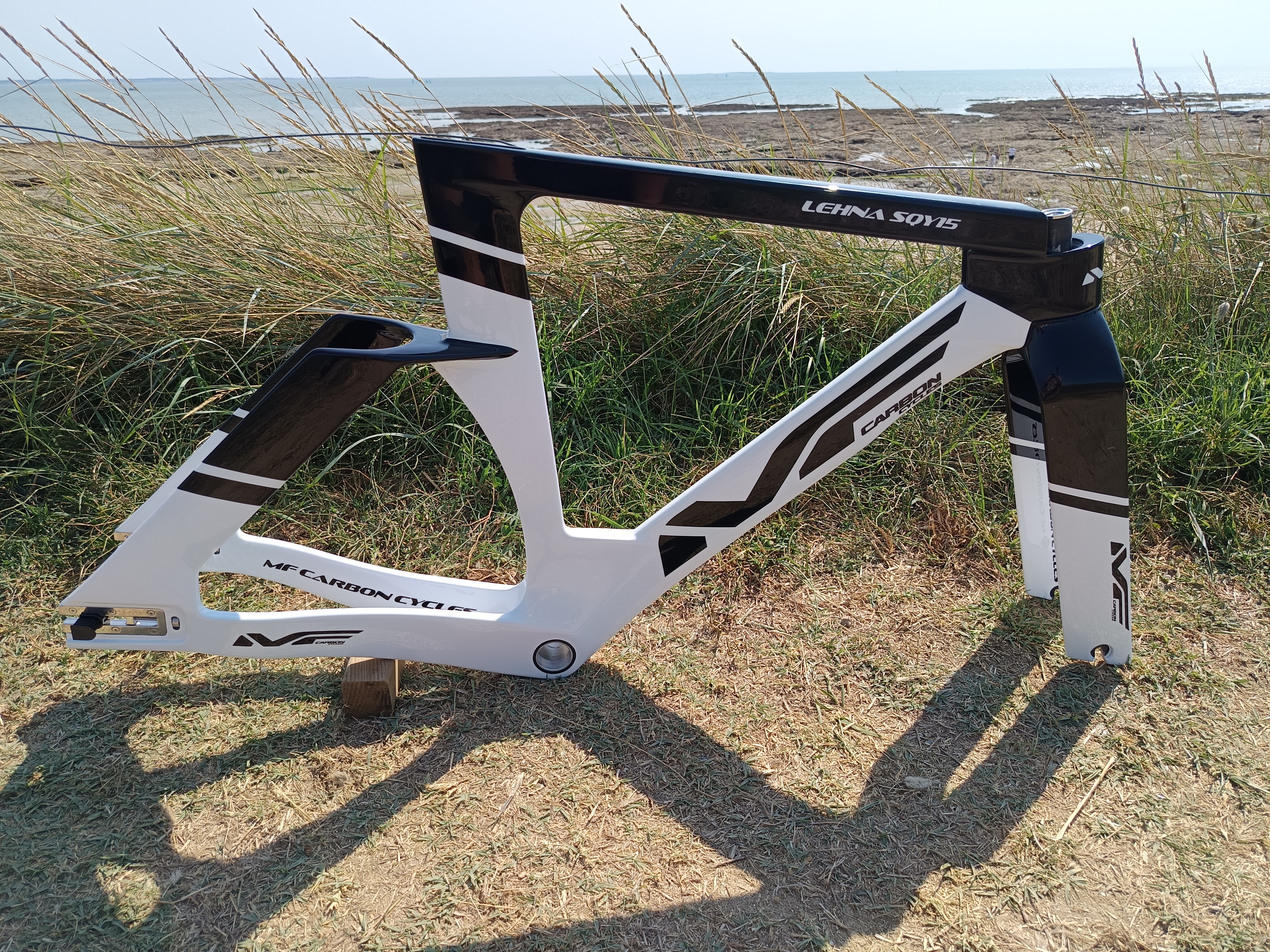 CADRE LEHNA SQY15 - MF Carbon Cycles