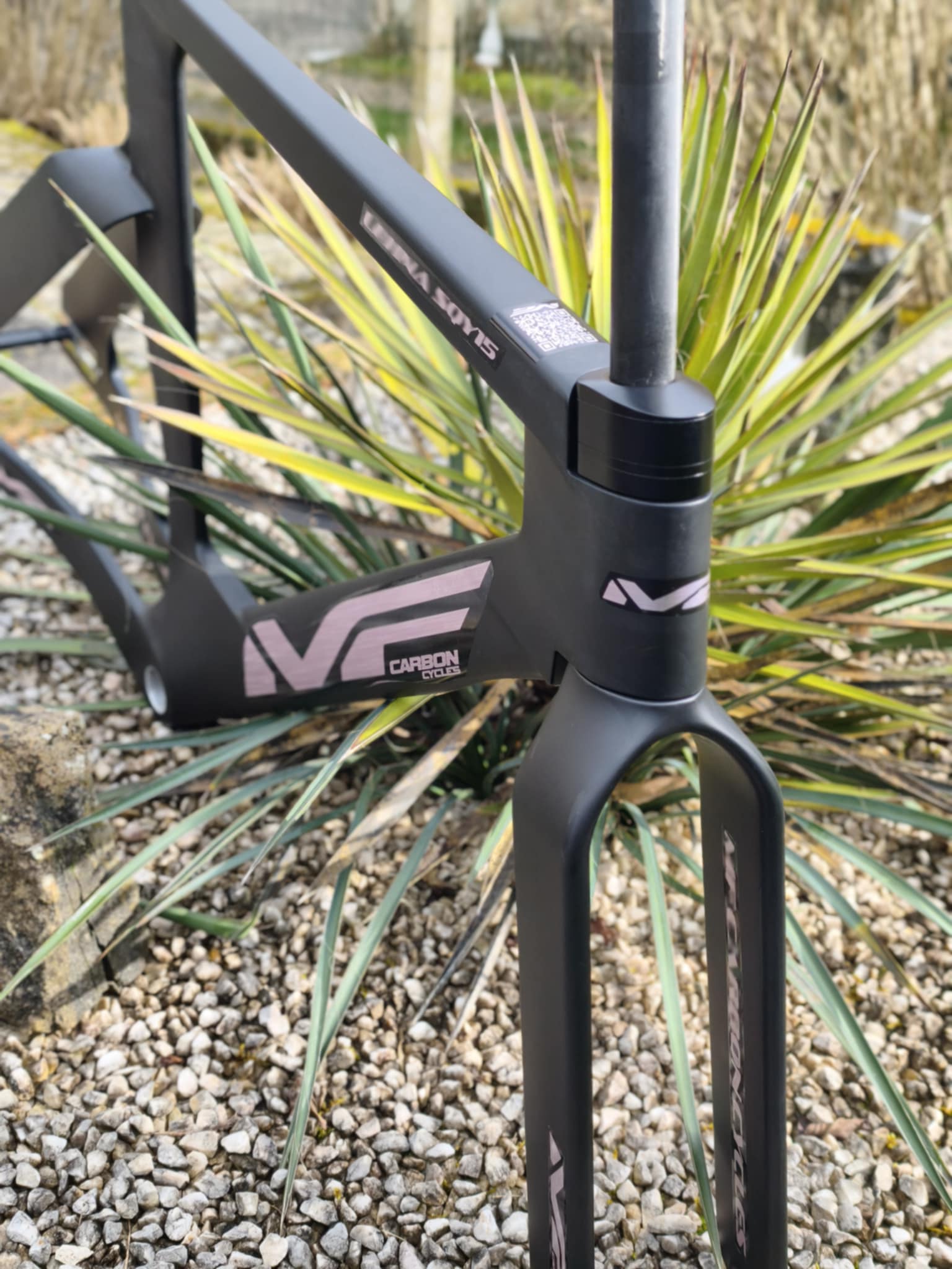 CADRE LEHNA SQY15 - MF Carbon Cycles